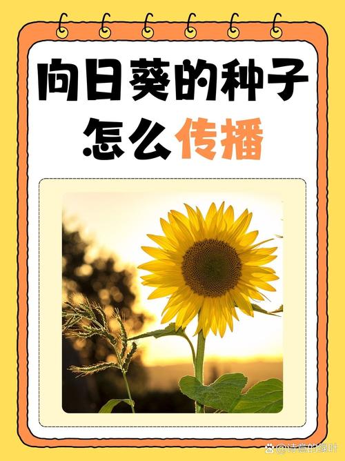 抖音粉丝充值网站_抖音青少年模式升级_抖音青少年模式限制时长