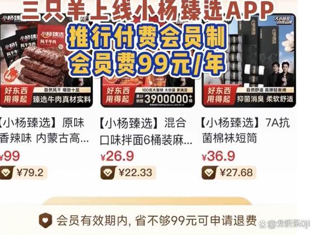 小杨哥复播_小杨臻选APP_抖音粉丝充值网站