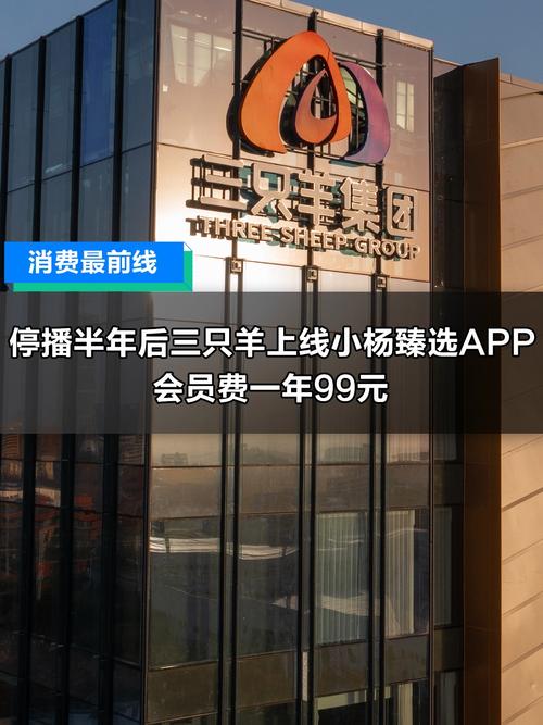 小杨臻选APP_小杨哥复播_抖音粉丝充值网站
