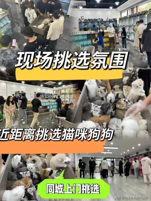 云商城24小时自助下单_卡盟在线24小时自助下单平台_24h自助下单卡盟