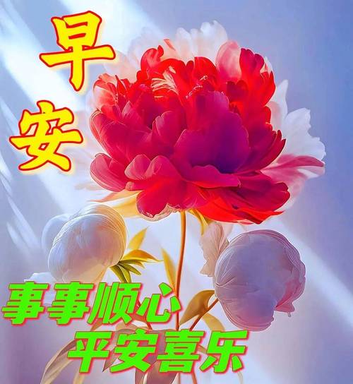 快手24小时自助下单平台网站_快手双击网站下单0.01自助大地可可制品公司_ks抖音代网站刷业务