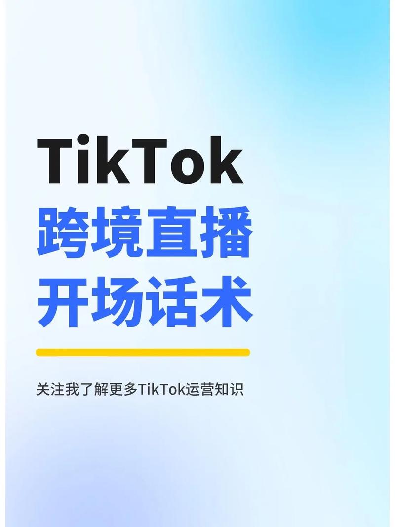 TikTok头部达人粉丝网络_跨境电商口碑传播_tiktok粉丝购买