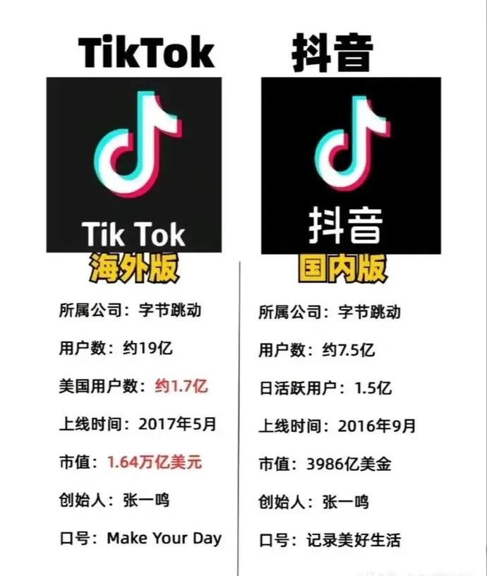 TikTok头部达人粉丝网络_跨境电商口碑传播_tiktok粉丝购买
