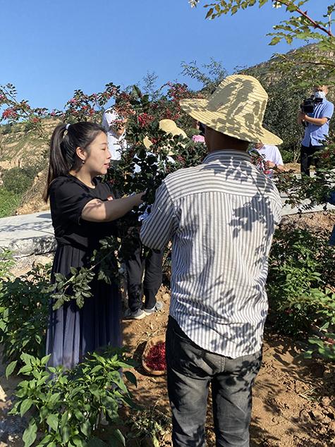 短视频直播扶贫模式_快手点赞1元100个赞平台_快手宋婷婷扶贫事迹