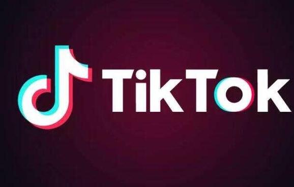 tiktok买粉_TikTok跨境孵化培训 _ 深圳TikTok实战经验 