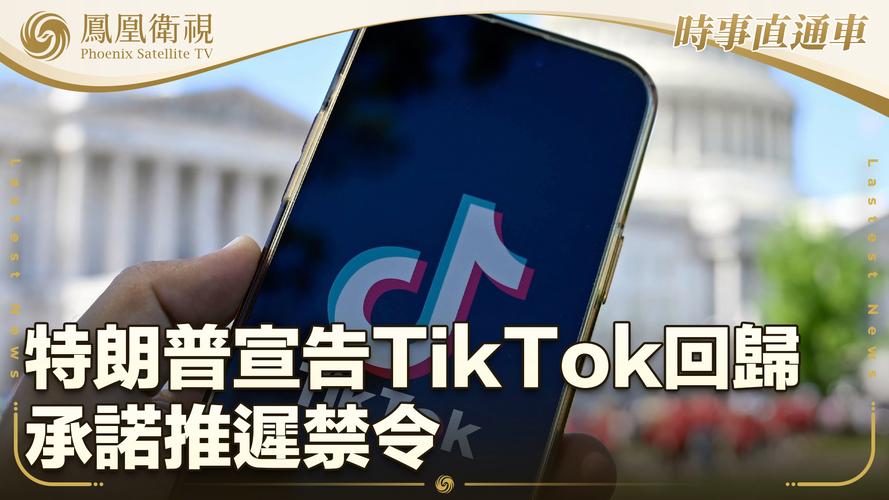 特朗普TikTok胜选直播_tiktok买粉_特朗普TikTok粉丝增长