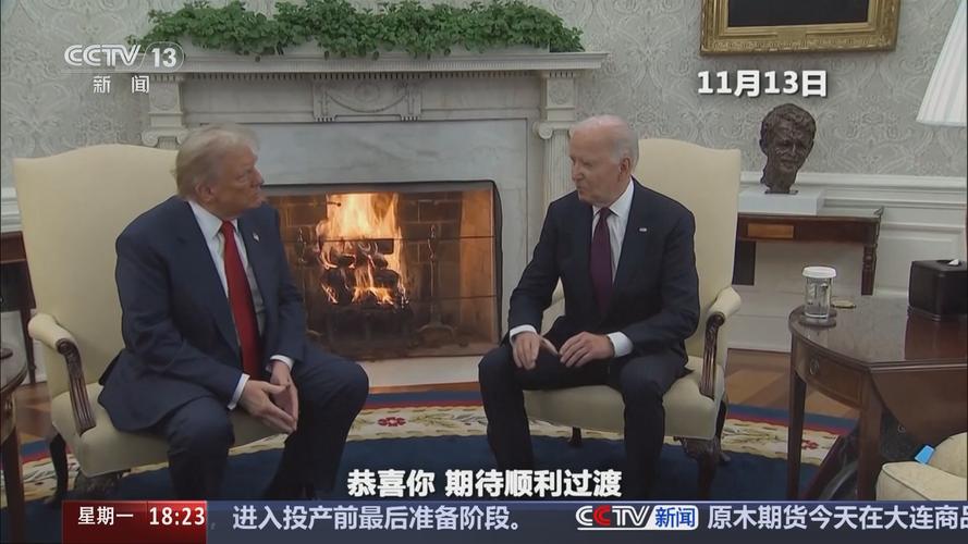 特朗普TikTok粉丝增长_tiktok买粉_特朗普TikTok胜选直播