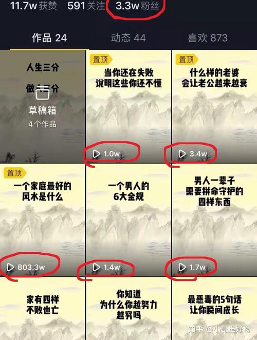 抖音作品播放量低原因_抖音播放量提升方法_抖音播放量下单500