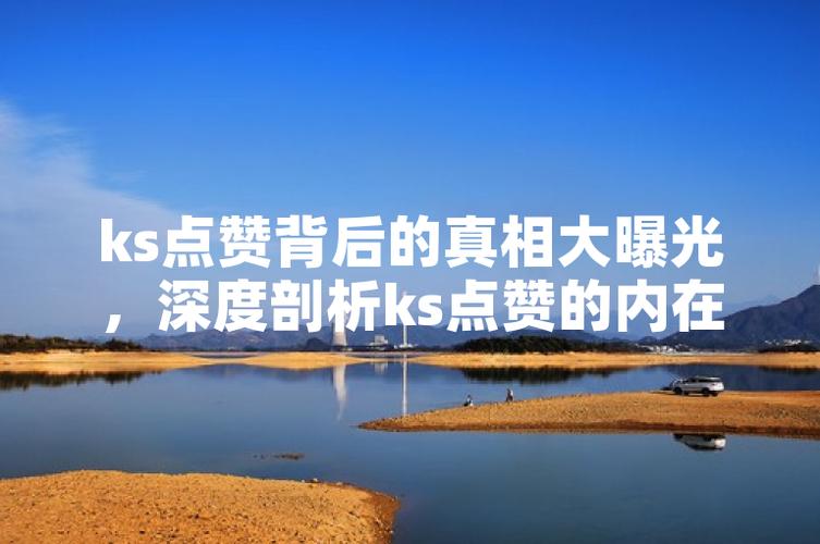 低价自助下单平台风险_Ks双击业务_ks刷双击便宜平台分析