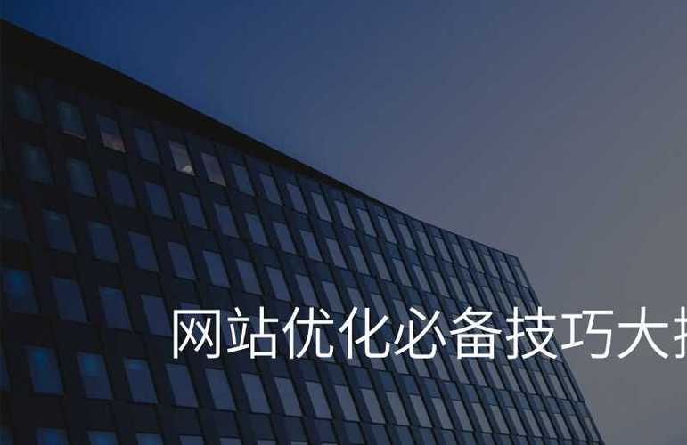 KS业务 SEO优化_百度搜索引擎优化_ks双击业务24小时