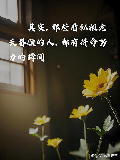 QQ说说买攒_人生哲理_自我成长