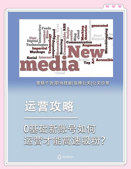 优质内容创作技巧_买粉渠道_社交媒体10000粉丝涨粉方法