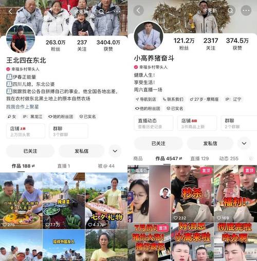 快手双击播放量网站下单0.01自助大地房产装修_东北农村生活短视频_快手自媒体内容创作
