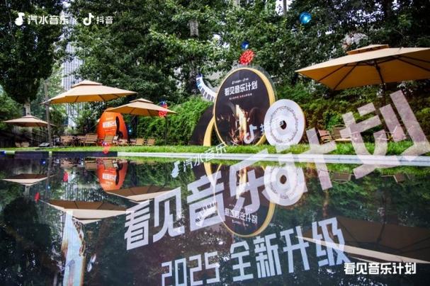 抖音低价业务推广_抖音音乐宣推策略_2025看见音乐计划论坛