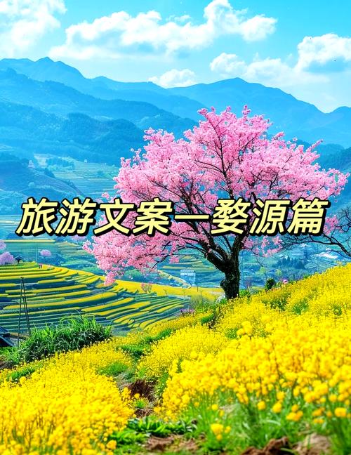 抖音粉丝下单_抖音春游季活动_文旅消费热潮