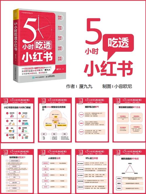  小红书运营实战经验 _小红书涨粉逻辑的四个方面_5小时吃透小红书 自媒体运营指南 