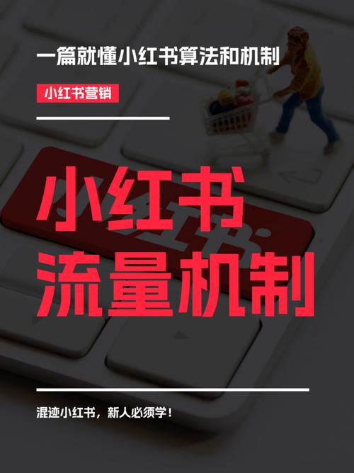 抖音活动助力平台网站_抖音业务下单平台秒到账服务_小红书种草营销