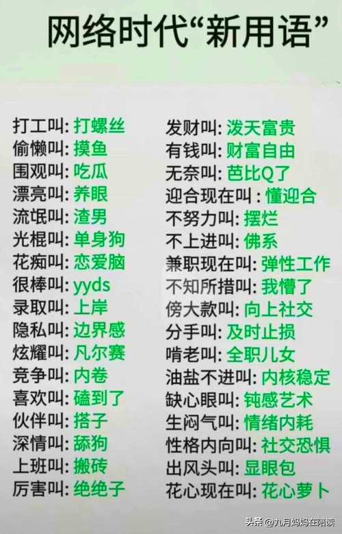 ks买赞_网络用语KS含义_快手KS短视频