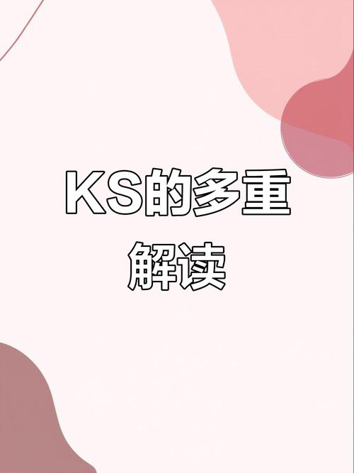 网络用语KS含义_ks买赞_快手KS短视频
