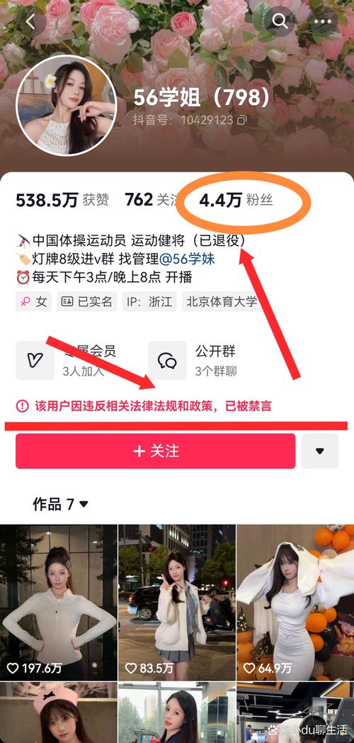 抖音粉丝业务套餐24小时在线_高考志愿填报模板_抖音网页版
