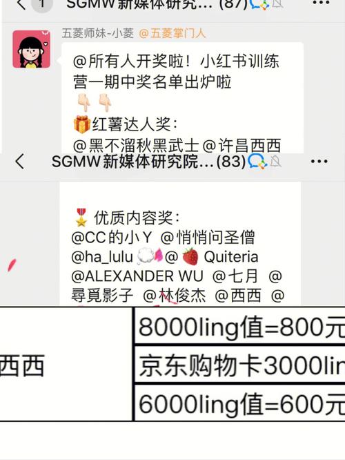 小红书粉丝购买渠道_小红书粉丝购买价格_买小红书1000粉有买的吗