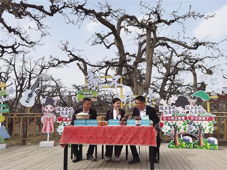 文旅流量助推_千万粉丝达人矩阵_tiktok买粉