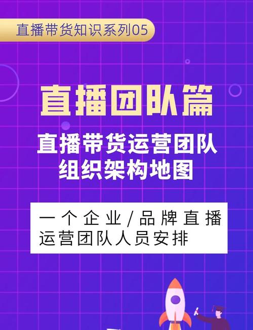 直播电商市场分析_双11直播带货_快手双击24h下单网站