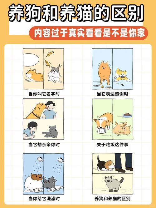 快手刷热度软件_快手刷赞业务平台_买热度快手