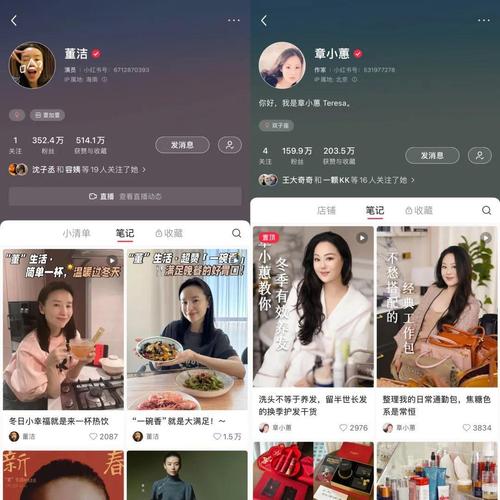 小红书双十一买手电商模式_章小蕙直播带货突破亿级销售额_买小红书1000粉有买的吗