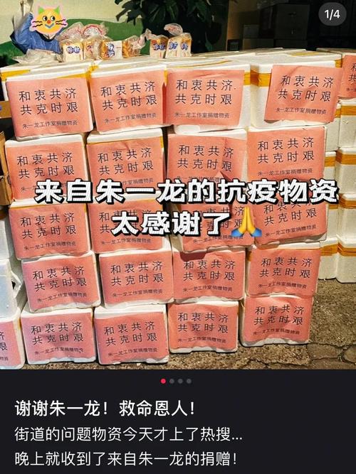 海外采购医疗防疫物资_买小红书1000粉有买的吗_小红书捐赠武汉口罩