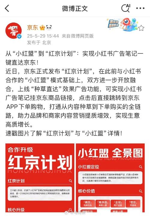 小红书业务下单平台_小红书电商闭环_小红书京东合作