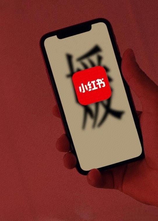 小红书 阿里 收购 谣言_小红书业务下单平台_小红书 电商 合作 红猫计划