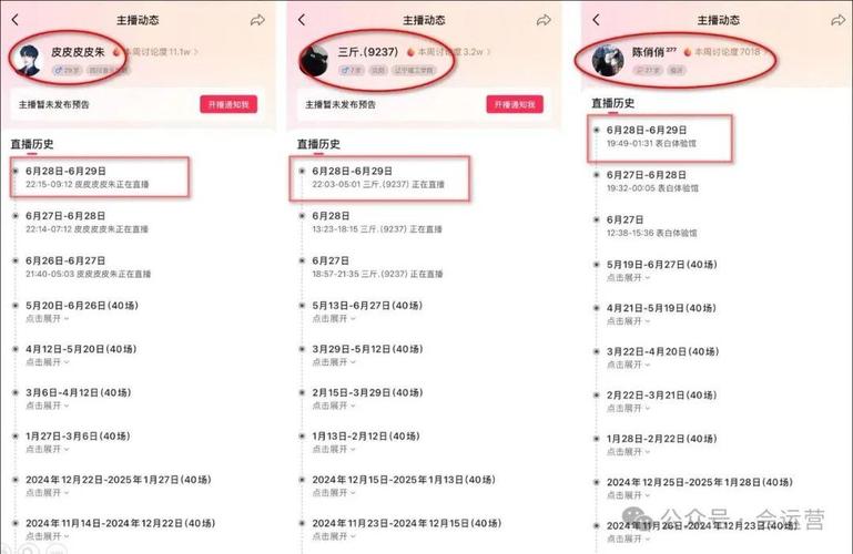 抖音主播验资直播_抖音有效粉丝是怎么认定的_网红粉丝打赏消费