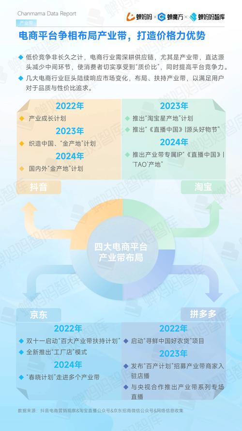 抖音电商内容电商模式_抖音电商高质量发展_抖音播放量下单软件