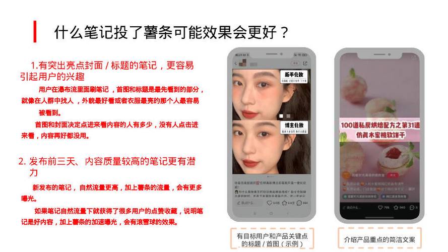 笔记选择中心亮点分析_小红书薯条笔记选择中心功能_小红书粉丝自动下单
