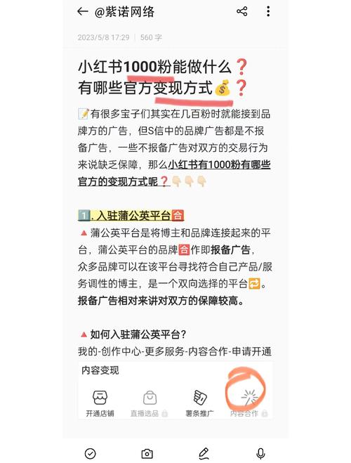 小红书内容优化策略_小红书业务下单24小时_小红书粉丝增长技巧