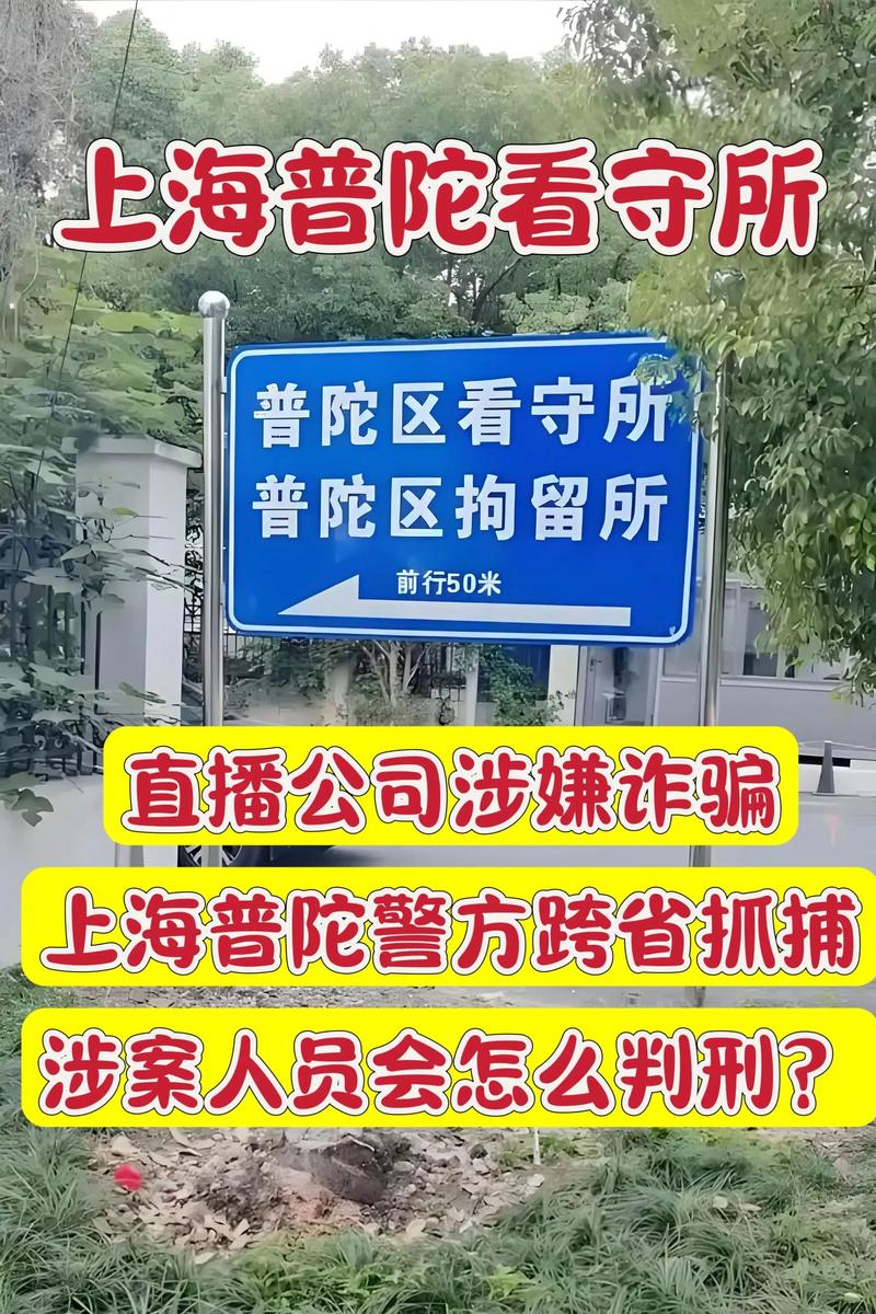 抖音刷手机诈骗_抖音24小时在线下单平台免费_普陀警方捣毁电信诈骗团伙