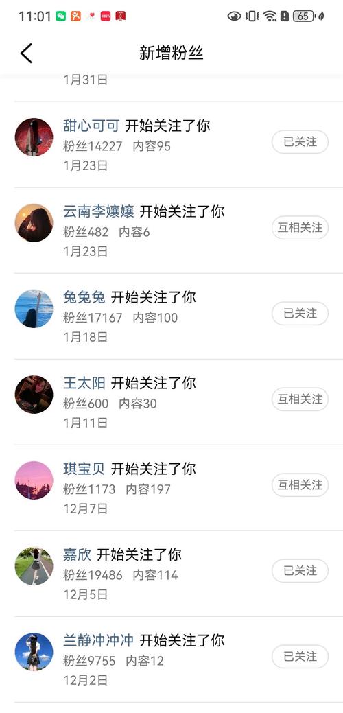 过度宣传欺骗粉丝_窃走粉丝软件_溜粉丝是什么意思