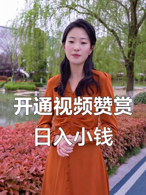 KS赞app 赚钱平台 短视频点赞关注赚钱_快手双击平台KS下单-稳定KS下单平台