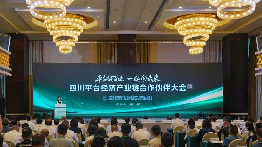 四川平台经济发展政策_四川平台经济产业链大会_抖音业务平台