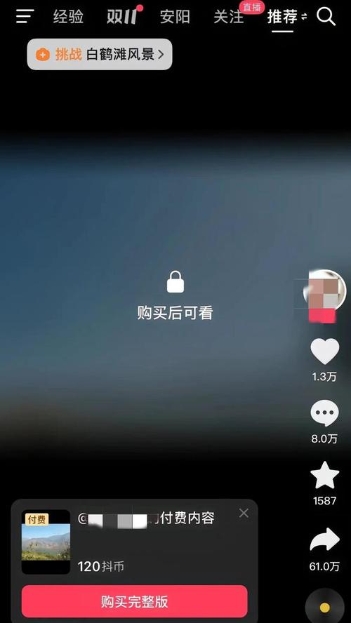 抖音付费短视频内容_抖音知识付费短视频_快手一元1000赞