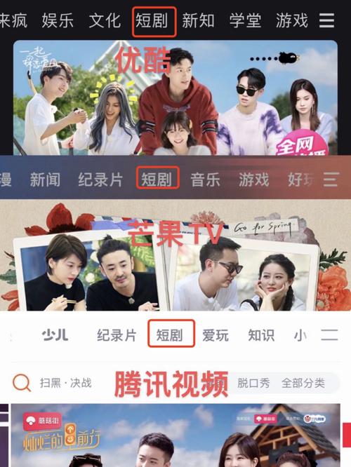 国内热门短剧网站_快手涨分丝软件_免费观看短剧平台