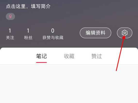 小红书头部博主数据_怎么才能在小红书上增加粉丝_女性化博主流量密码