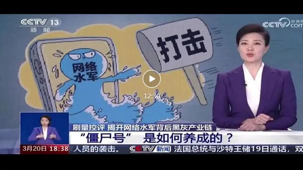 闲鱼粉丝多了有用吗_虚假评论来源与平台责任_水军产业链分析