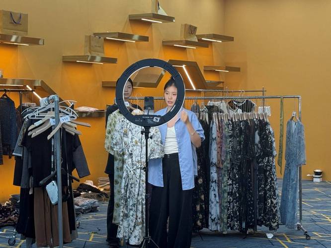天门服装电商产业_回流创业服装电商_拼多多帮人助力