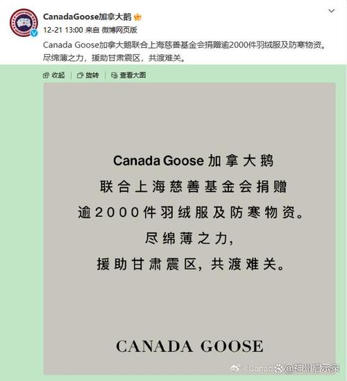 闲鱼平台出售援助甘肃震区加拿大鹅羽绒服事件_闲鱼产品升级与战略升级分析_闲鱼业务网