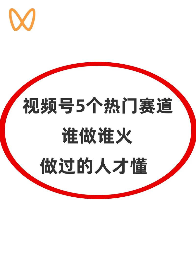 小红书新入驻创作者权益_小红书涨粉困难的原因_小红书视频号15分钟发布