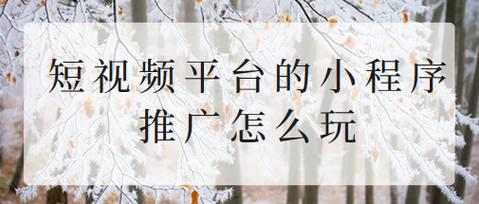 哪个小程序可以买抖音粉_短视频商城_视频小程序