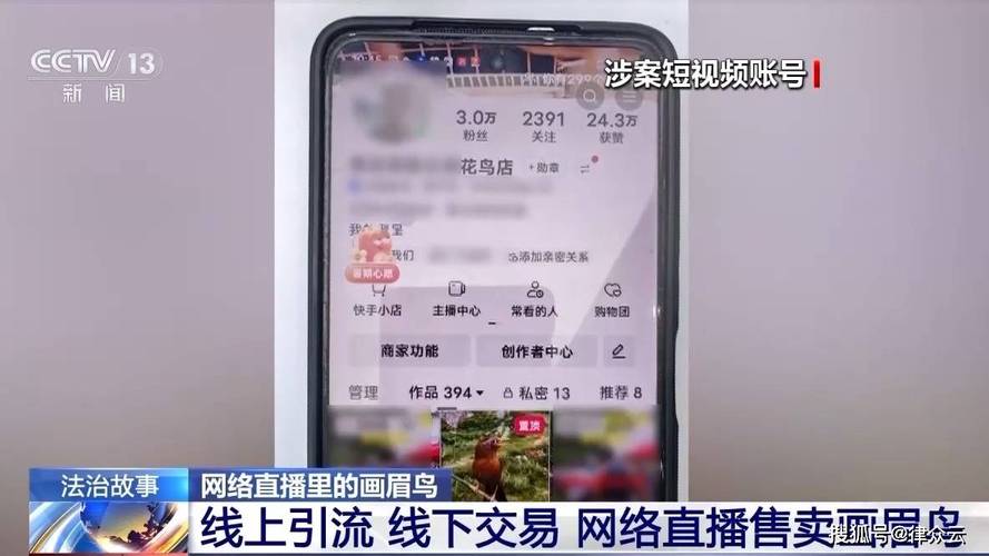 自助平台业务下单真人_组织流量刷单平台 案件处罚 刷单软件非法获利