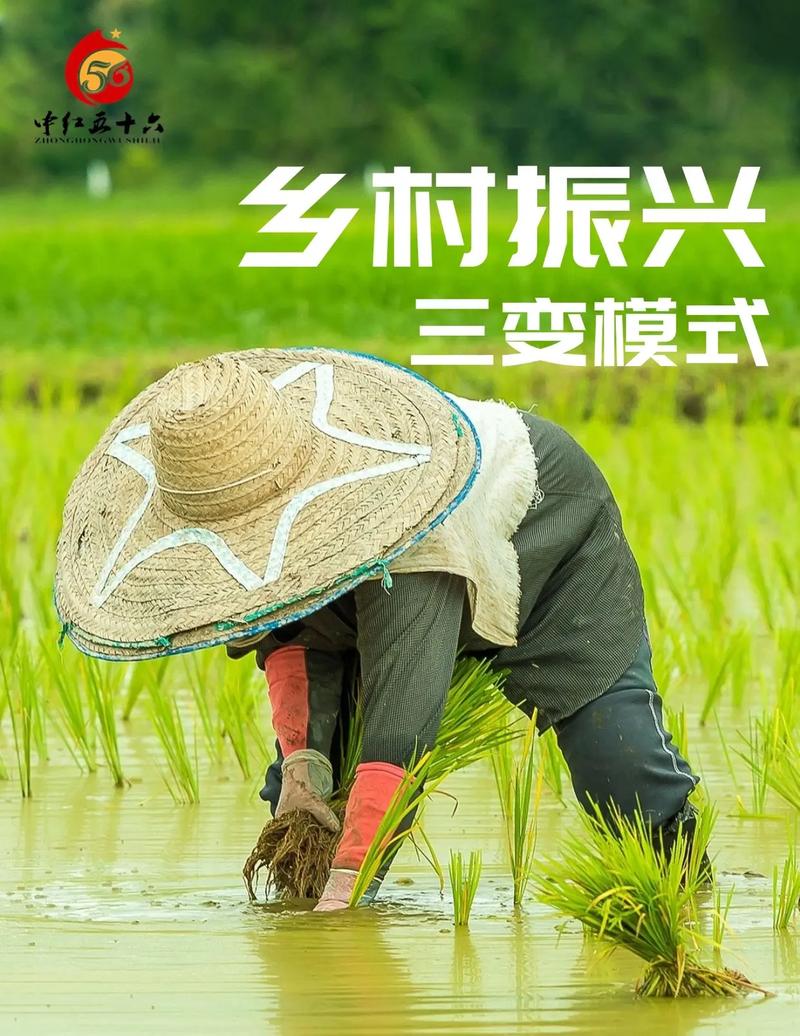 抖音业务真人下单24小时_抖音电商社区运营规范_电商直播带货规范